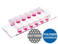 83614 µ-Slide VI 0.4 µ-Pattern ibiTreat, lin20, pit170: #1.5 polymer coverslip, tissue culture-treated, micropatterned surface with 20 μm lines, 170 μm pitch, lines parallel to the channel, surface passivation with Bioinert, sterilized, individually packe